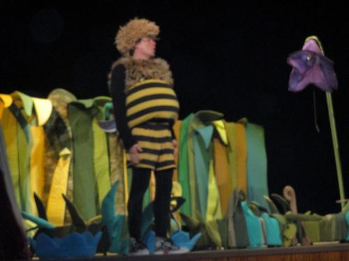 MKS Domažlice – Příhody včelích medvídků (2. 12. 2015)