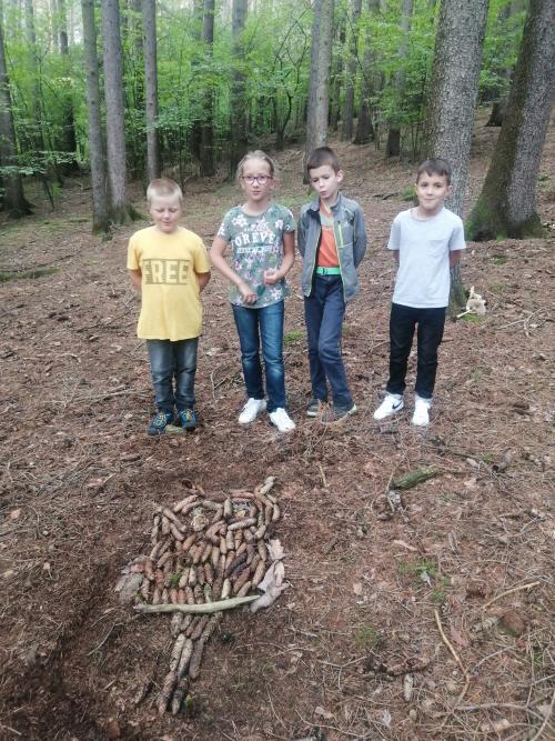 Přírodověda a pracovní činnosti v lese