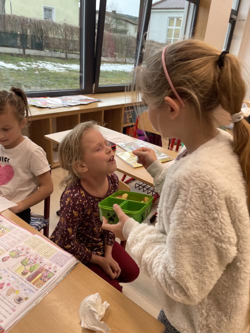 Prvouka,naše smysly 