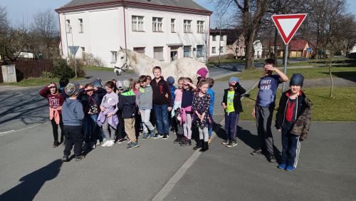 Odpoledne se čtyřnohými kamarády 