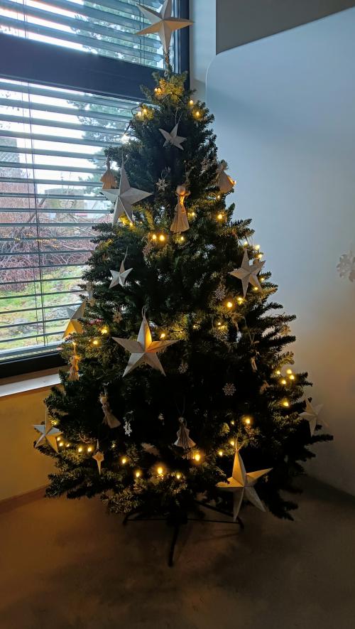 Těšíme se na Vánoce 