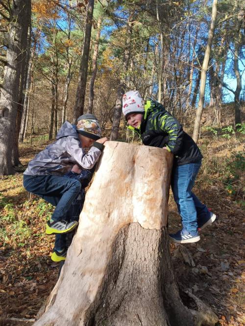 Podzimní vycházka ŠD s vyráběním z přírodnin