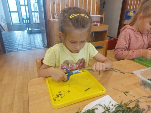 Druhá polovina června