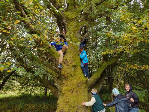 Říjnové sportování,tvoření a vycházky Céčkařů