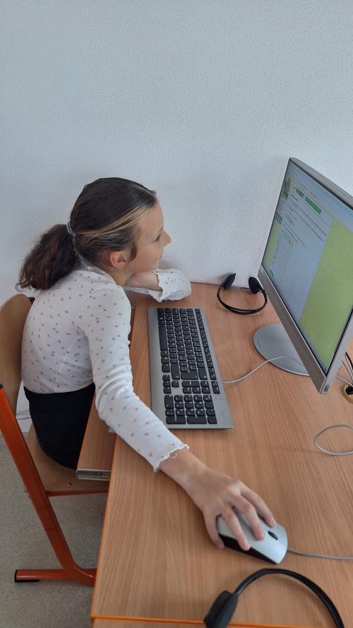 Bobřík informatiky